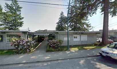 The White Palm Studio